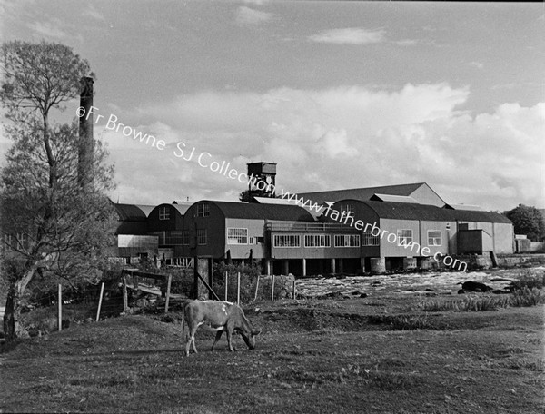 MILLS FROM W.BANK OF RIVER MOY